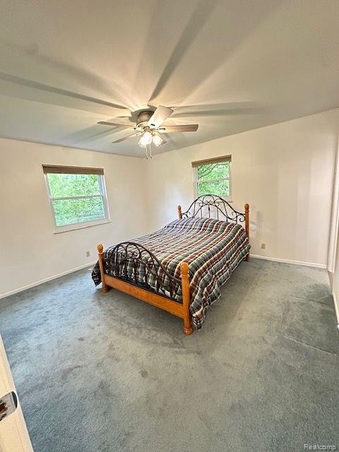 5450 CINNAMON, Lapeer, MI 48446 — Photo 15