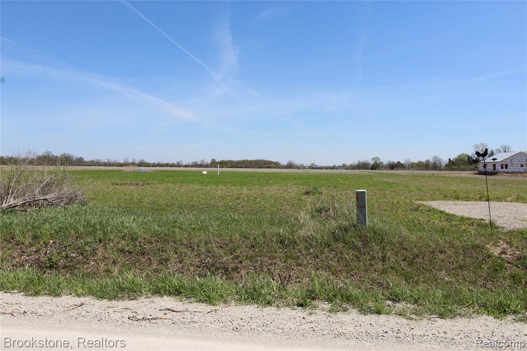 Vacant Lot D Stoddard Road, Columbus, MI — Photo 3