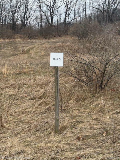 Lot 5 Rosy Drive, Leonard, MI 48367 — Photo 3