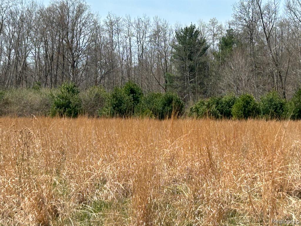 4215 JOSHUA Road, Cass City, MI 48726 — Photo 19