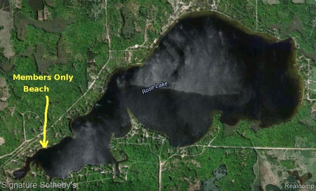 229 Forest Trail, Leroy, MI 49655 — Photo 8
