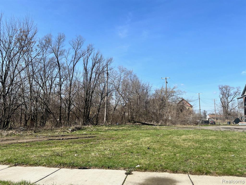 5143 BANGOR Street, Detroit, MI 48210 — Photo 2