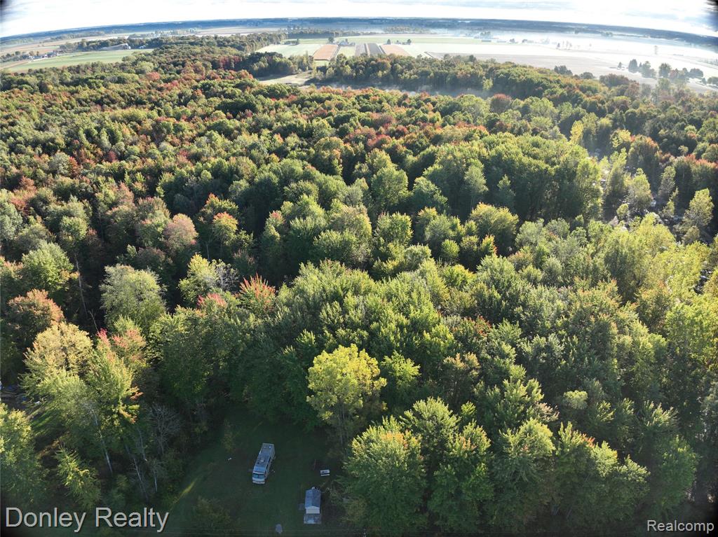 5690 Van Dyke Road, Cass City, MI 48726 — Photo 18