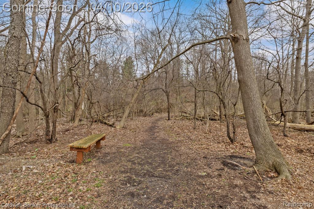46079 Sunset Street, Northville, MI 48167 — Photo 43