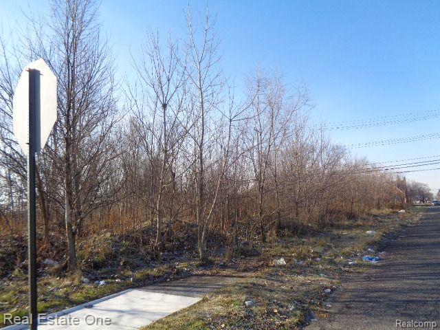 18088 PELKEY Street, Detroit, MI 48205 — Photo 12