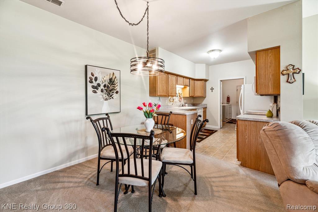 1056 SHIAWASSEE Circle, Howell, MI 48843 — Photo 20