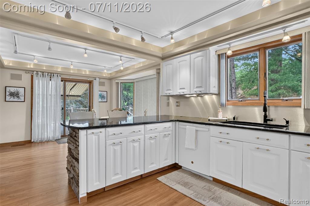 7772 Athlone Drive, Brighton, MI 48116 — Photo 12