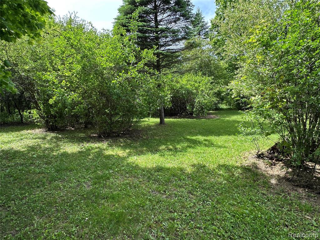 6161 River Road, Flushing, MI 48433 — Photo 26
