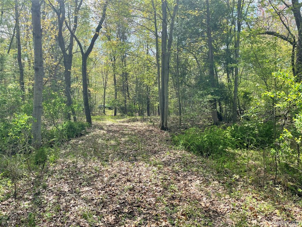 NA Oakridge Drive, Au Gres, MI 48703 — Photo 3