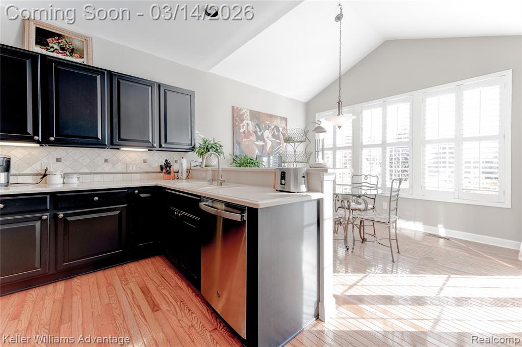 44742 Aspen Ridge Drive, Northville, MI 48168 — Photo 13