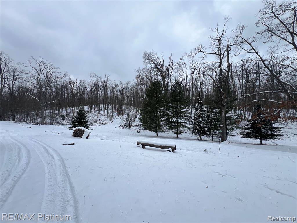 4125 Hubbard Lake Trail, Hubbard Lake, MI 49747 — Photo 13