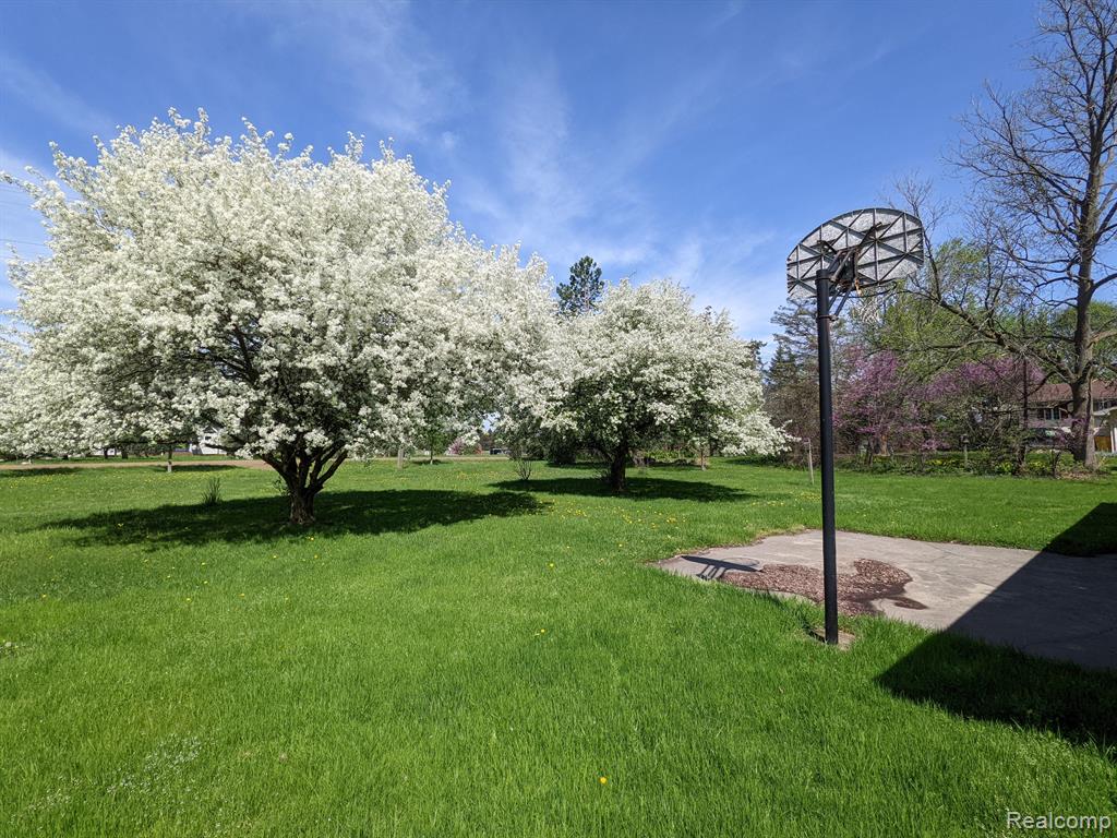 370 N YOUNGS Road, Attica, MI 48412 — Photo 19