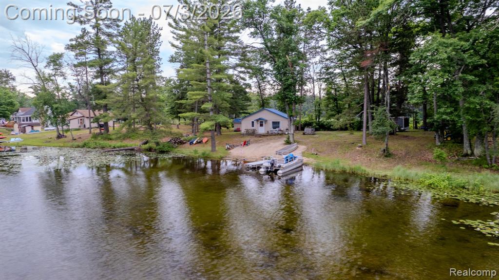 8272 Paradise Drive, South Branch, MI 48761 — Photo 37