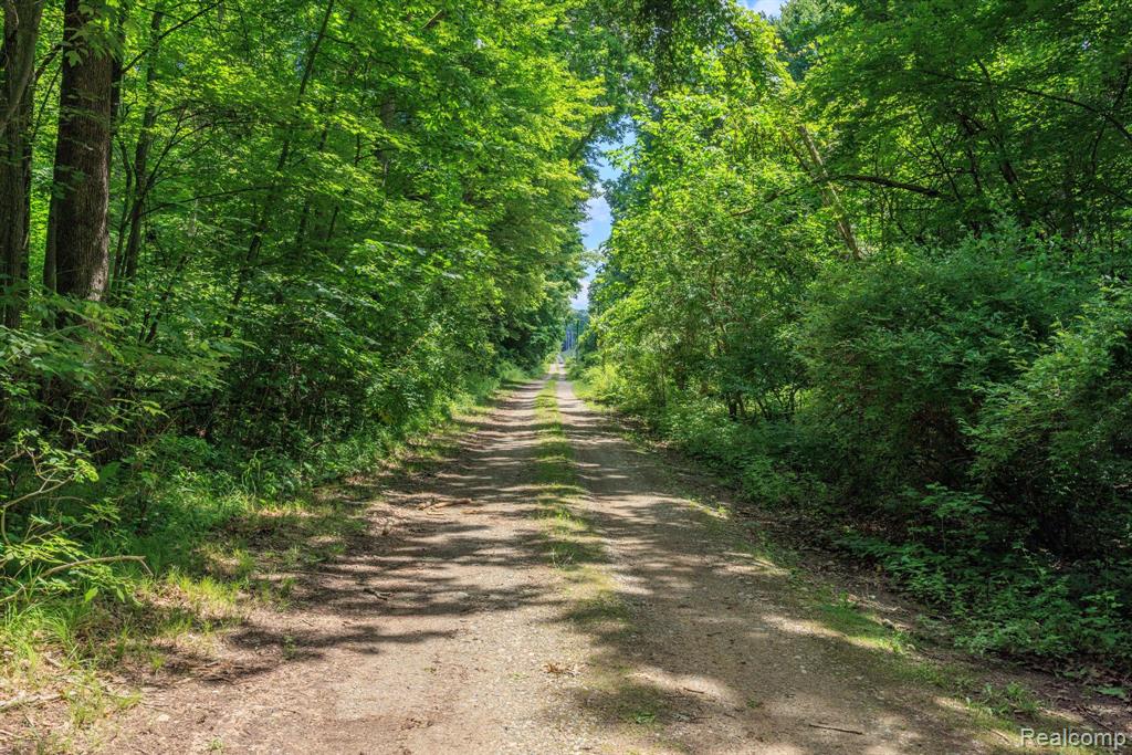 2931 N Lake Pleasant Road, Attica, MI 48412 — Photo 50