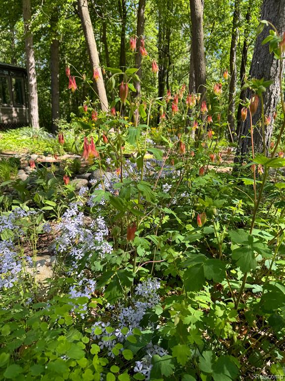 1827 HIGH HOLLOW Drive, Ann Arbor, MI 48103 — Photo 77