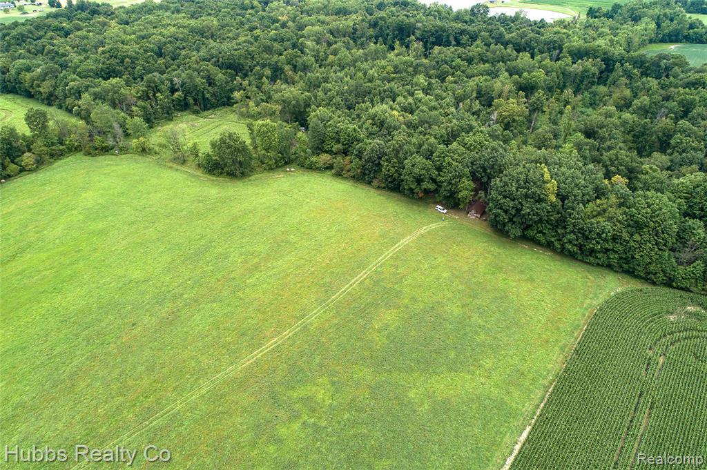 4251 E Frances Road, Mount Morris, MI 48458 — Photo 48