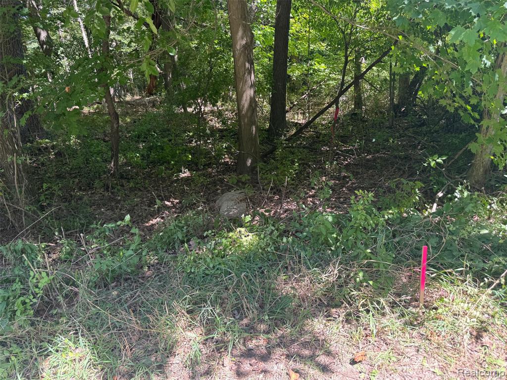3711 Baldwin Road, Metamora, MI 48455 — Photo 70