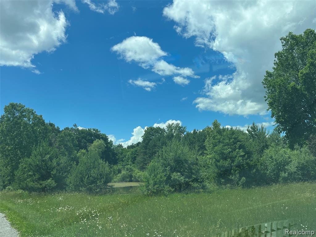 5015 Capac Road, Mussey, MI 48014 — Photo 2
