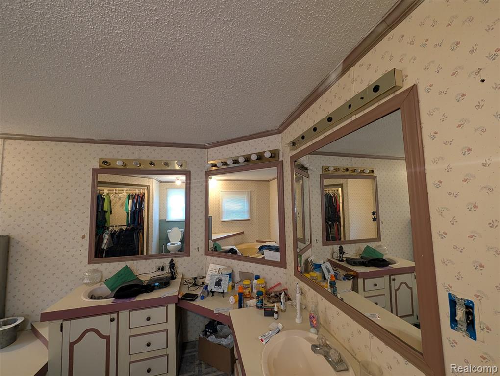 11175 S Morrice Road, Morrice, MI 48857 — Photo 7