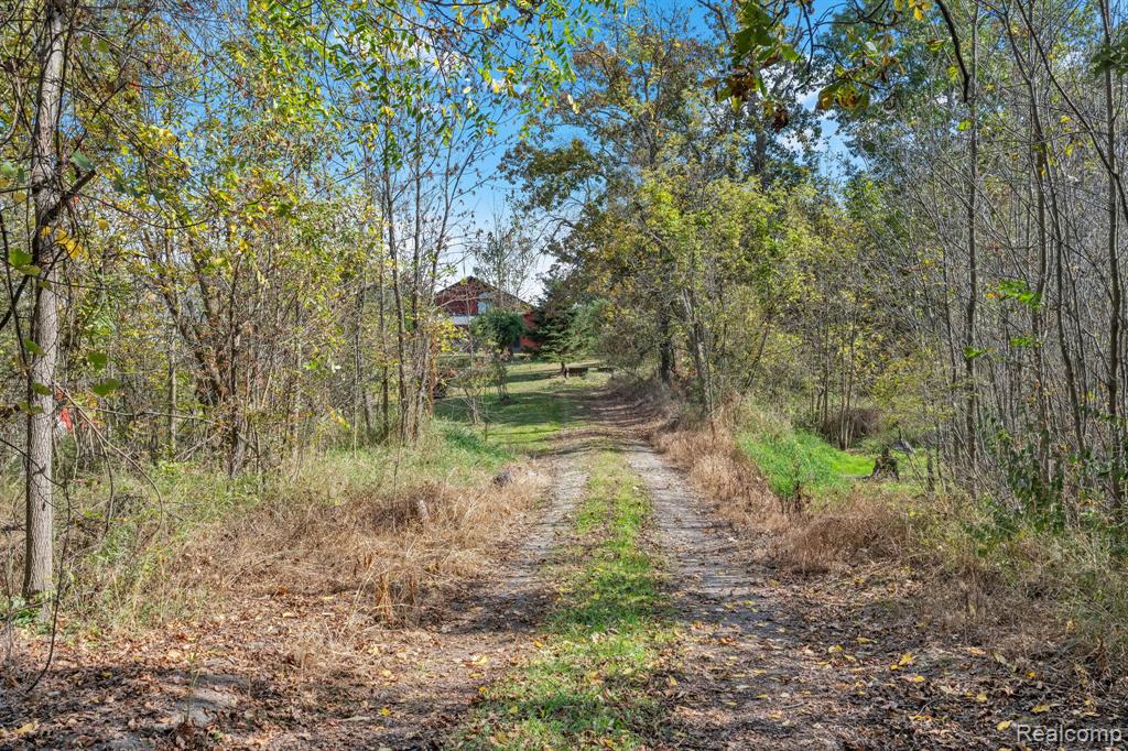 14269 Cole Road, Linden, MI 48451 — Photo 56