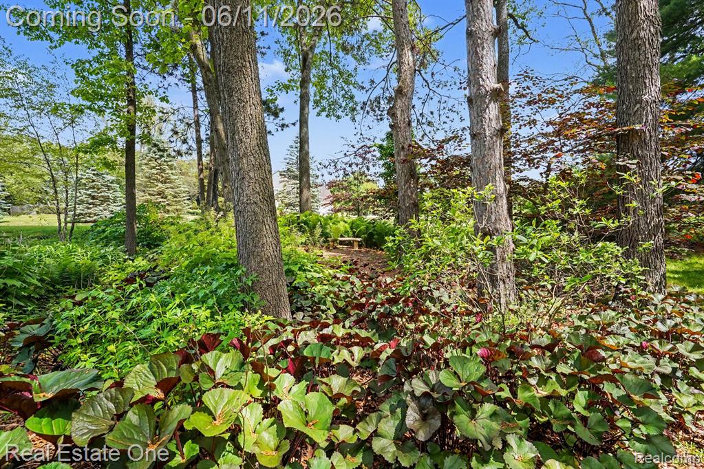 2958 Pine Needle Drive, White Lake, MI 48383 — Photo 38