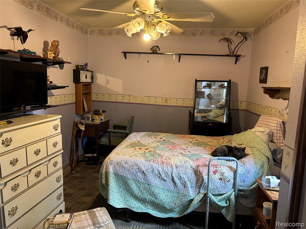 1429 E Caro Road, Caro, MI 48723 — Photo 13