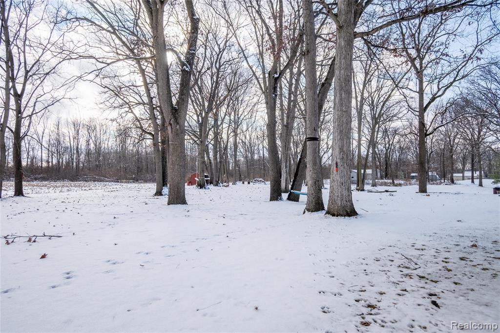 3123 3rd Street, La Salle, MI — Photo 43