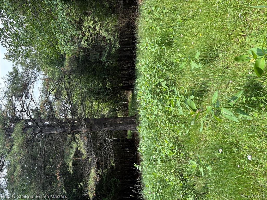 9999 W. Hubert rd Road, Hubbard Lake, MI 49747 — Photo 8