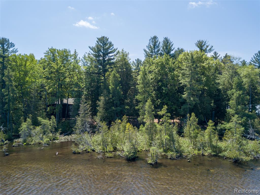 6954 AARWOOD Trail NW, Rapid City, MI 49676 — Photo 48