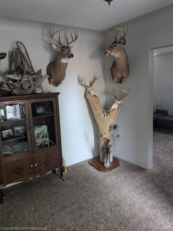 3237 Rogers Street, Marlette, MI 48453 — Photo 29