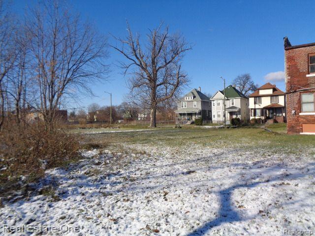 9039 3RD Street, Detroit, MI 48202 — Photo 6