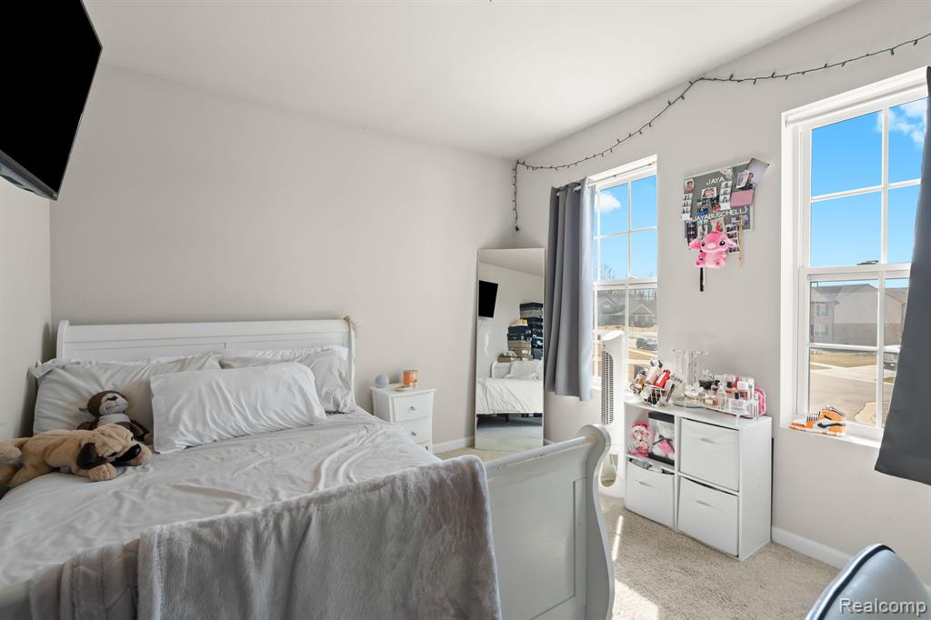 42884 FREDERICK, Van Buren, MI 48111 — Photo 19