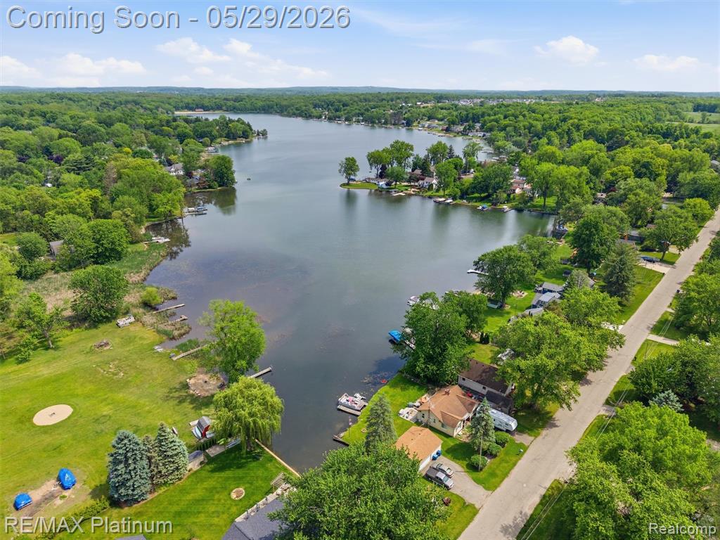 6335 Silver Lake Road, Linden, MI 48451 — Photo 56