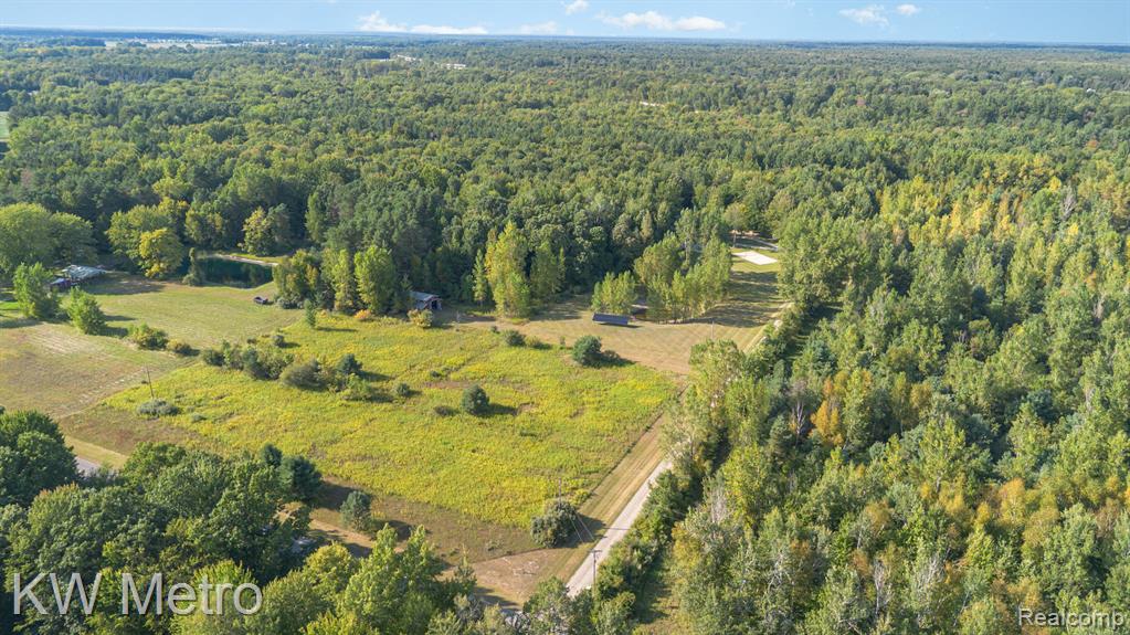 4262 W Fike Road, Coleman, MI 48618 — Photo 28