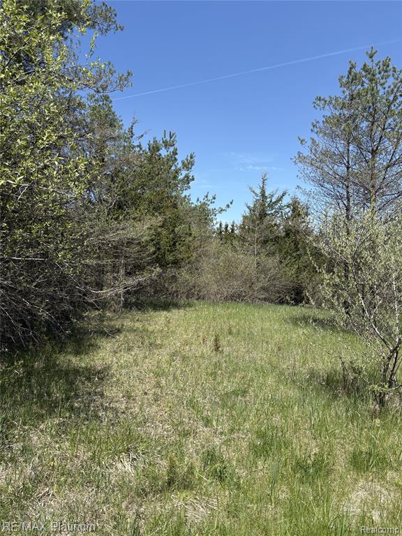 Parcel 7 Fisher Road, Howell, MI 48855 — Photo 2