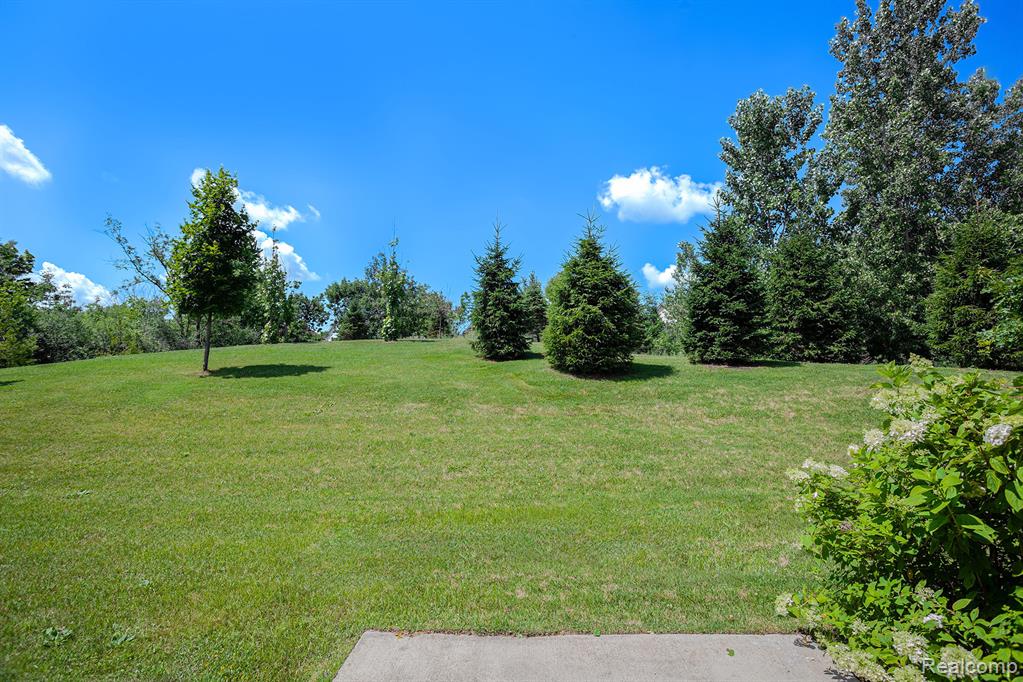 24727 IVY LANE, Novi, MI — Photo 26
