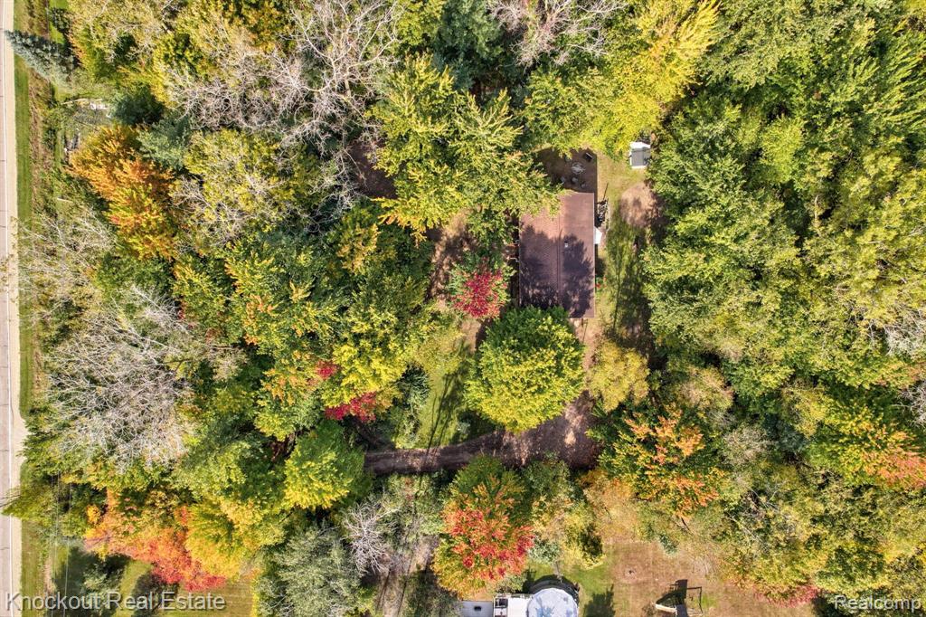 7553 BRAY Road, Vassar, MI 48768 — Photo 4