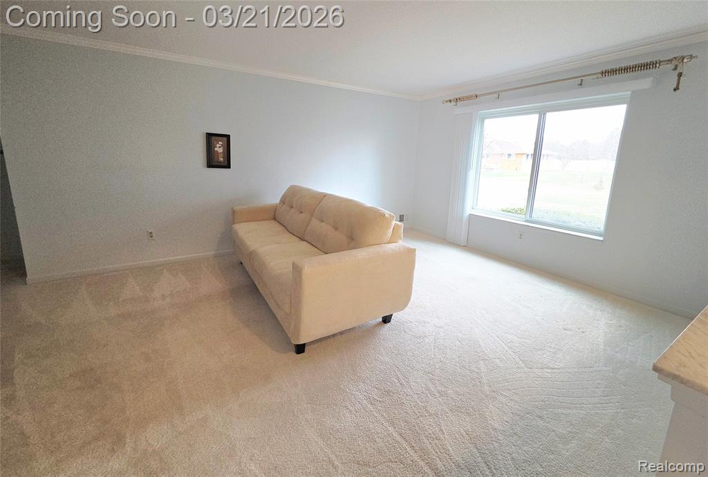 11700 Amber Le Drive, Warren, MI 48093 — Photo 9