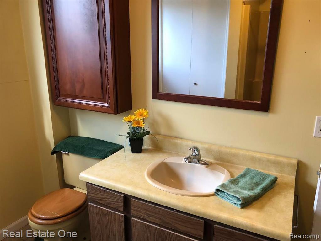 429 EGAN Highway, Brooklyn, MI 49230 — Photo 24