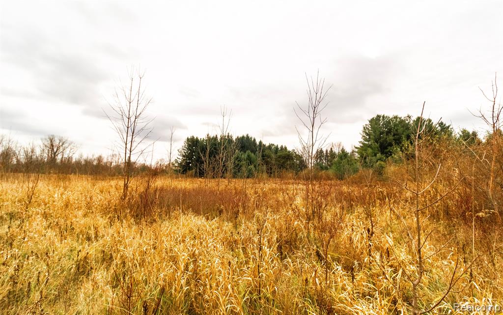 6152 OLD STATE Road, North Branch, MI 48461 — Photo 22