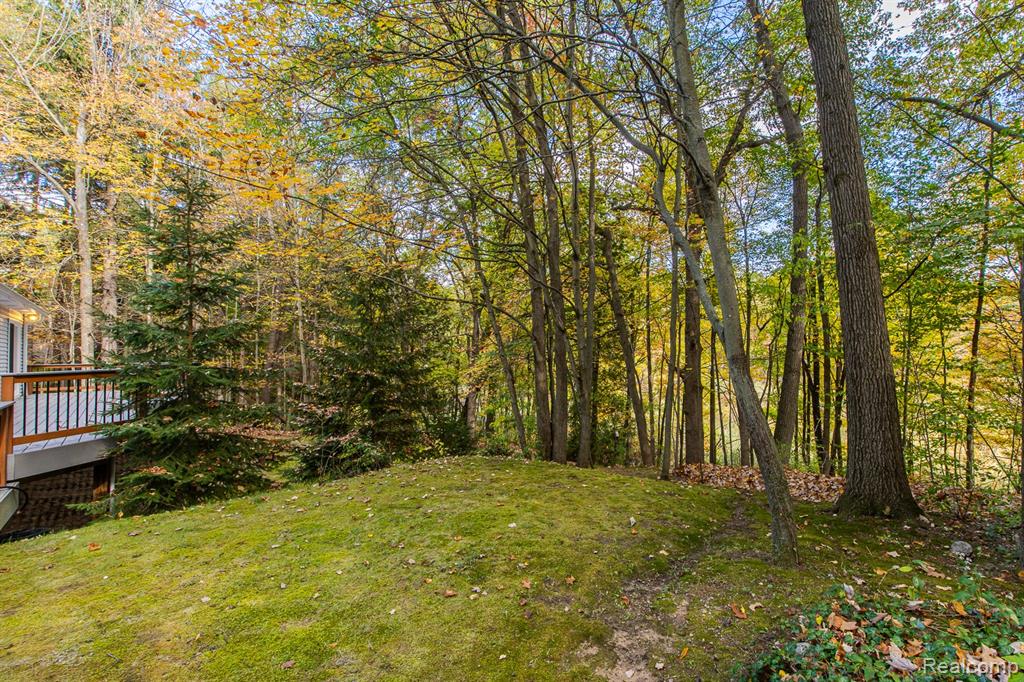 1969 Woodsman Drive, Ortonville, MI 48462 — Photo 51