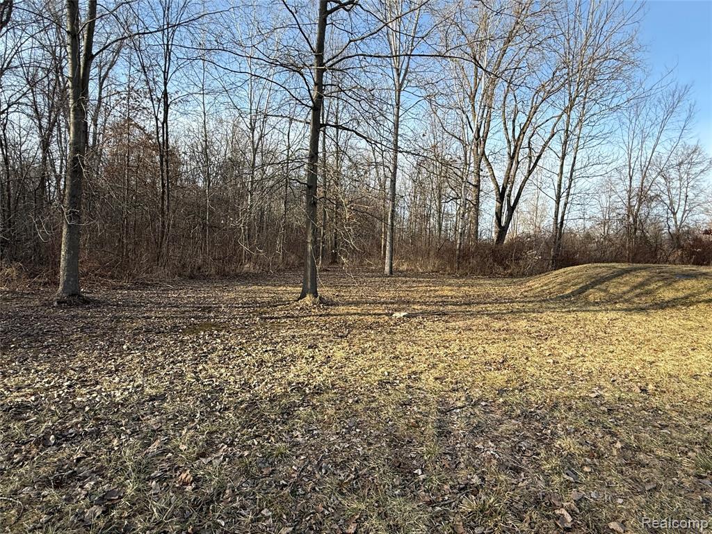 26020 Martinsville Road, Belleville, MI 48111 — Photo 12