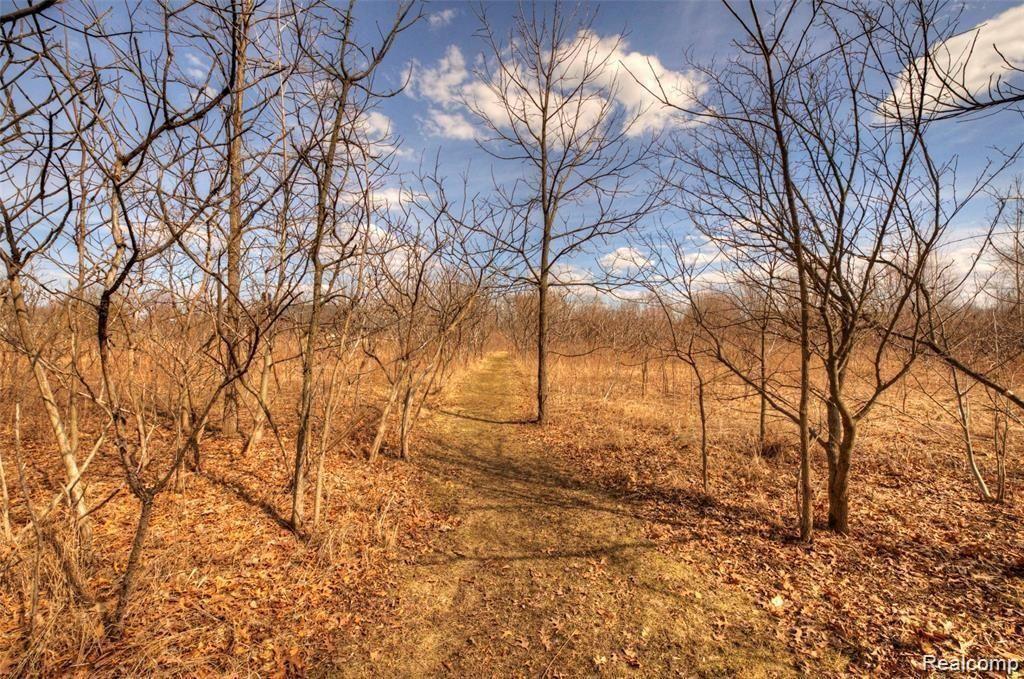 58405 TRAVIS Road, New Hudson, MI 48165 — Photo 14