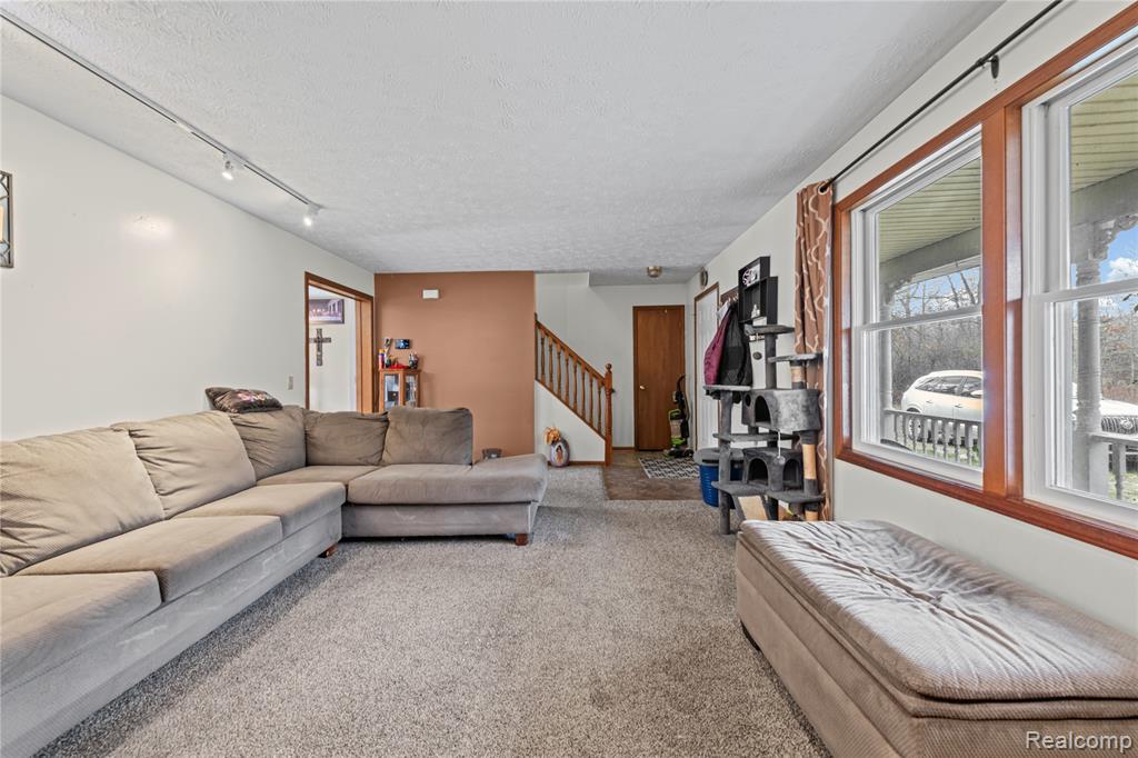 43865 Willow Road, Belleville, MI 48111 — Photo 4