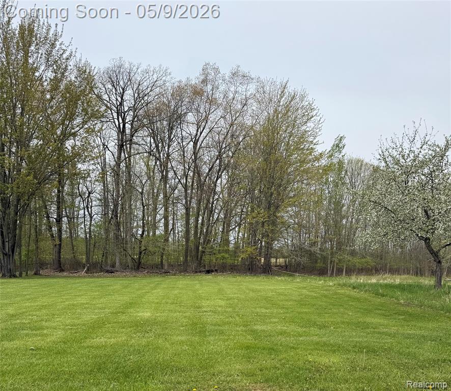 1412 S Byron Road, Lennon Vlg, MI 48449 — Photo 21