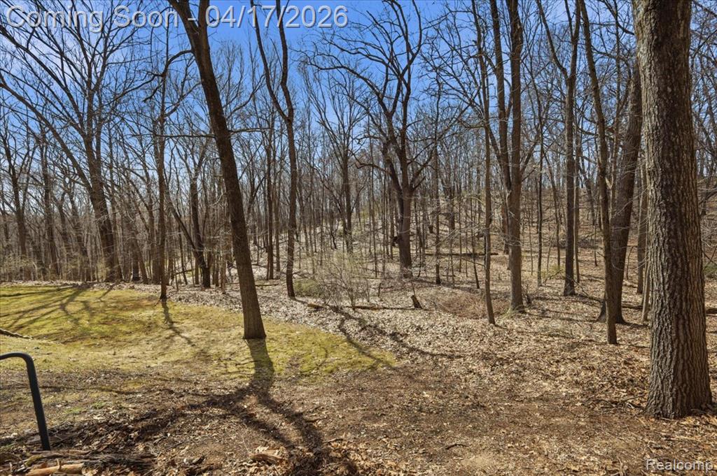2222 S Hickory Ridge Trail, Milford, MI 48380 — Photo 37