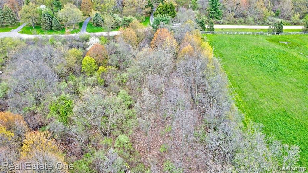 590 Judi Ann Lane, Holly, MI 48442 — Photo 16