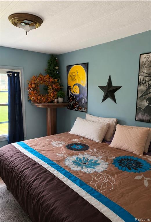 26711 Q Drive N, Albion, MI 49224 — Photo 22