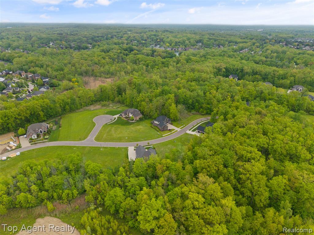 55764 Buckthorn Drive, Shelby Twp, MI 48316 — Photo 70