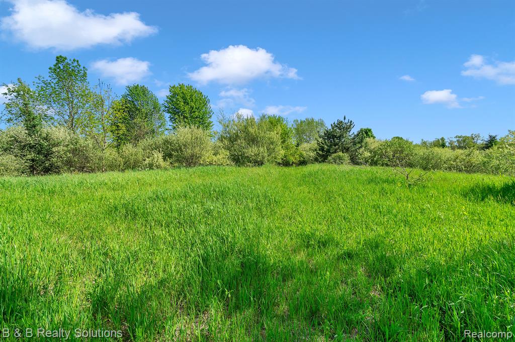 2864 N BLACKS CORNERS Road, Imlay City, MI 48444 — Photo 51